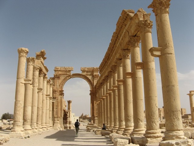 пальмира фото
