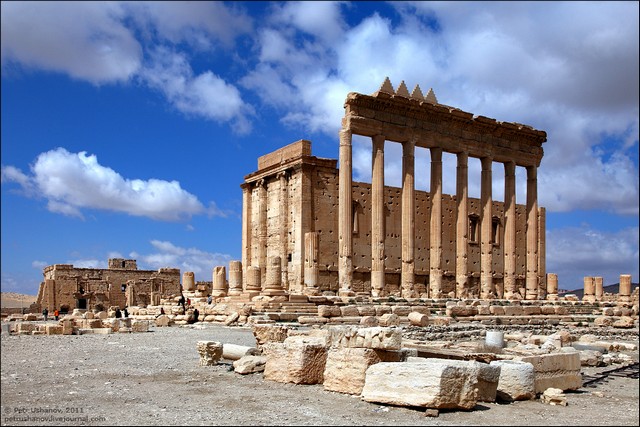 город пальмира